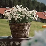 Hotell Vitalhotel Kaiserhof 4*