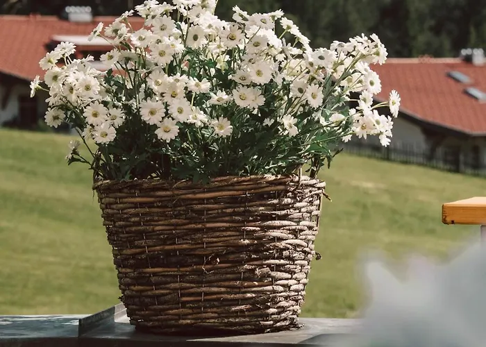 Hotell Vitalhotel Kaiserhof 4*